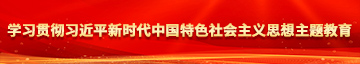 肏，视频网站学习贯彻习近平新时代中国特色社会主义思想主题教育